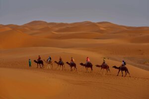 Sahara Desert Tours