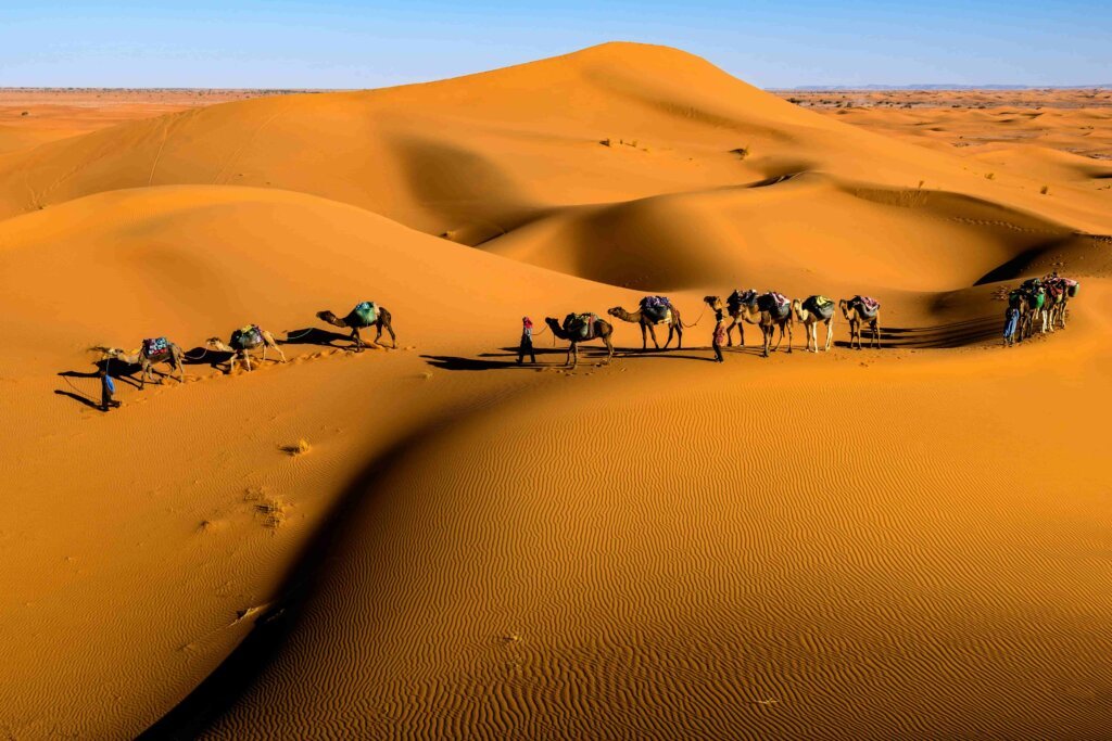 Sahara Desert Tours